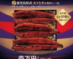かっぱ寿司「うな重1万円」2017年