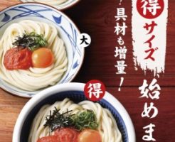 丸亀製麺「得サイズ」2017年7月10日