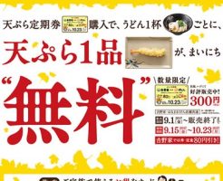 はなまるうどん天ぷら定期券2017年9月1日発売9月15日から